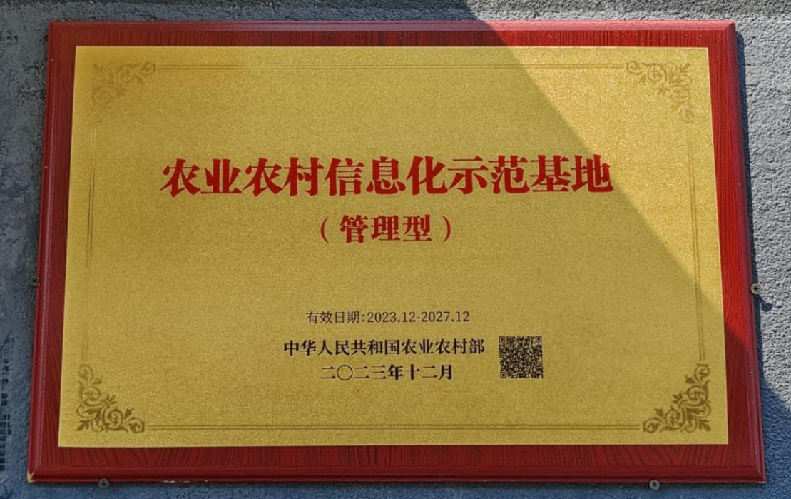 图片17.png