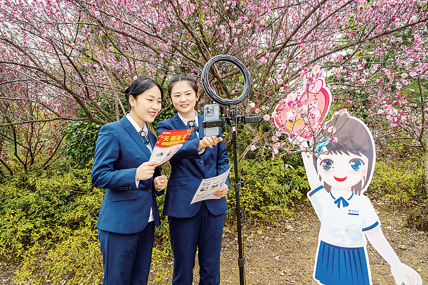 安徽电信.PNG