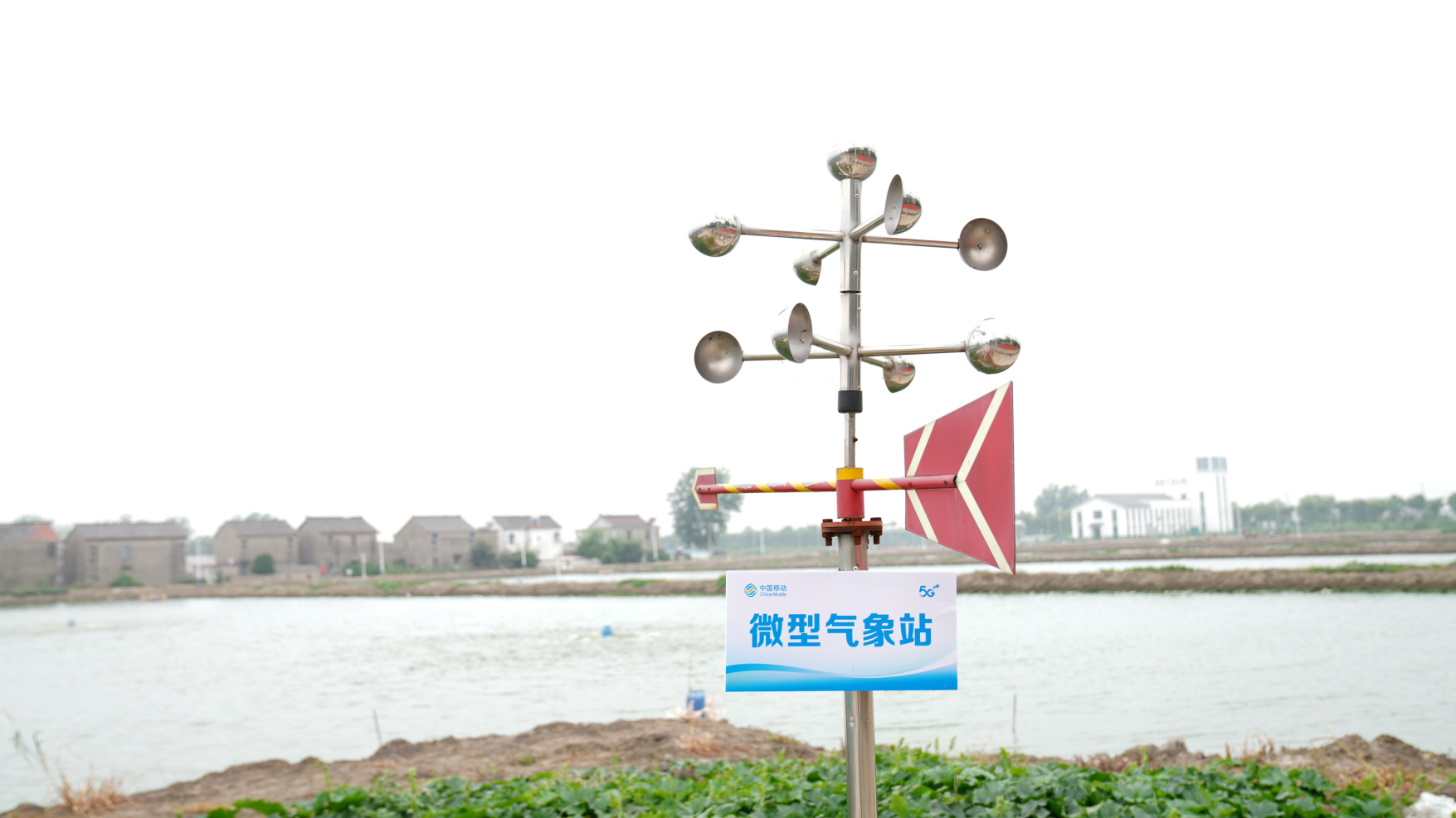123 (1).png
