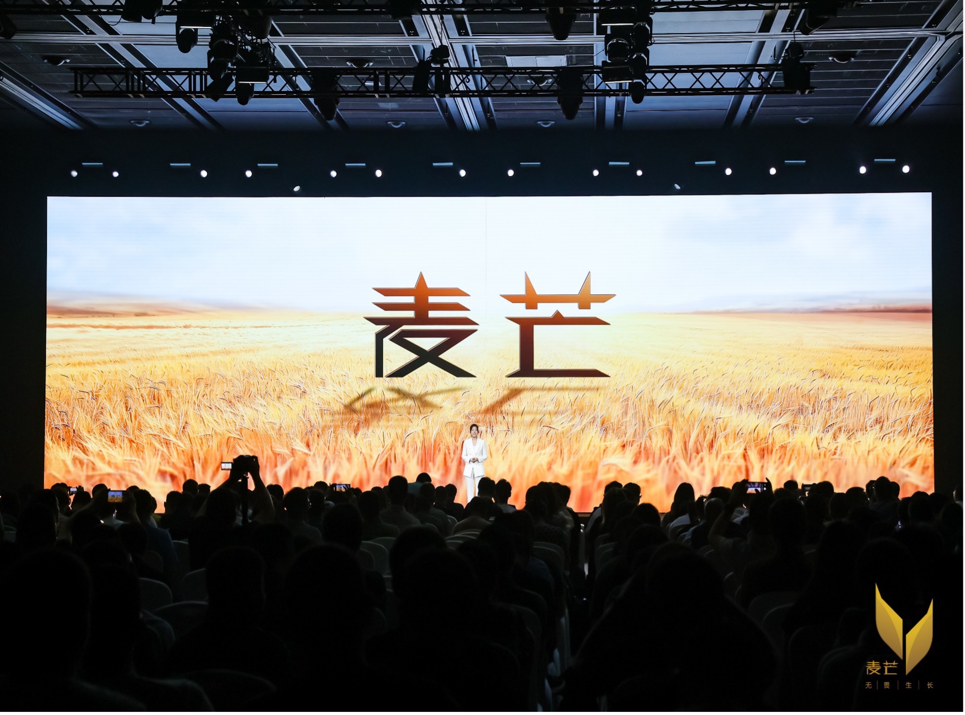 图片 3.jpg