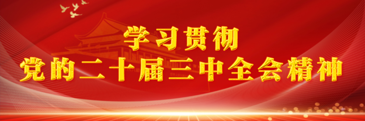 学习贯彻党的二十届三中全会精神.banner（勿动）