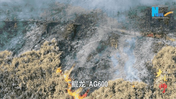 43.jpg