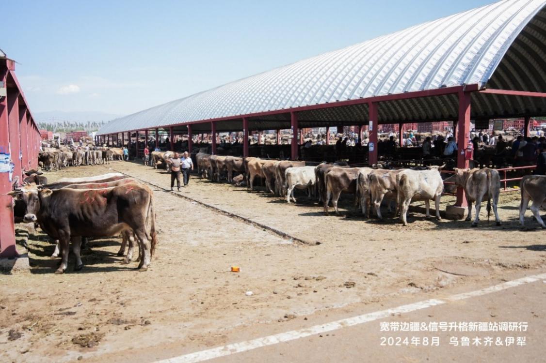 图片12.jpg