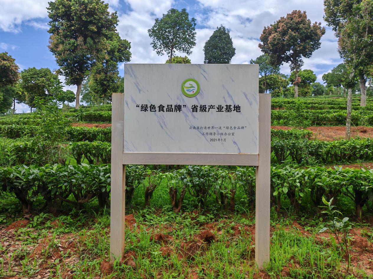 图片3.jpg