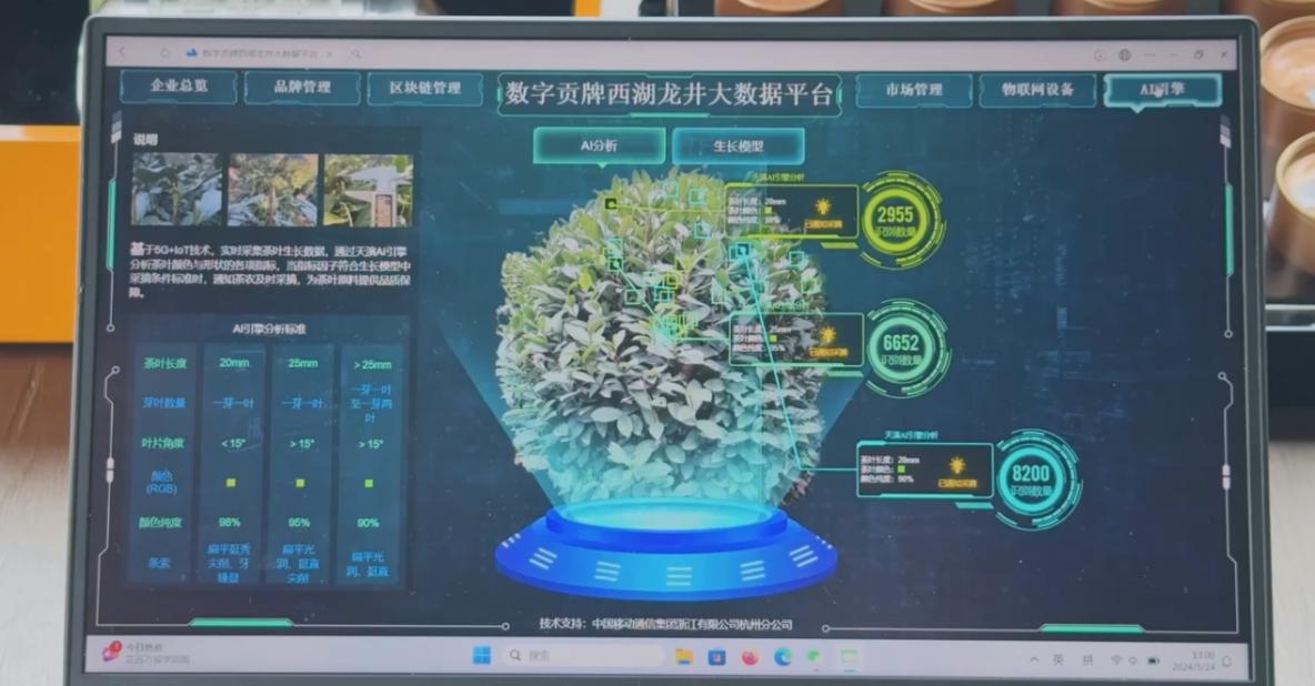 图片16.jpg