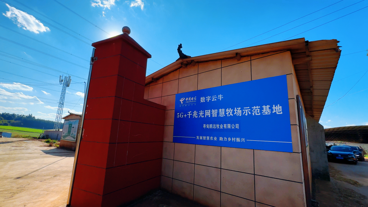 图片4.png