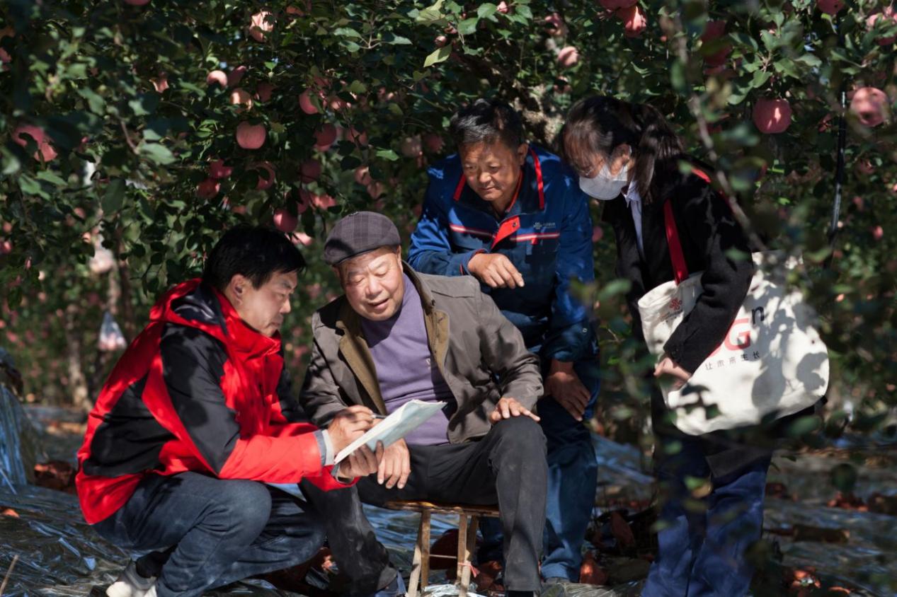 图片1.jpg