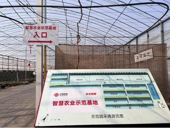 （网站）27000㎡智慧大棚 联通乡村振兴之路338.jpg